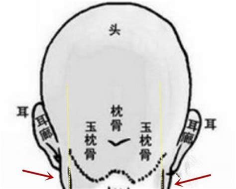 枕骨面相|秒懂骨相：从九贵骨看富贵品级